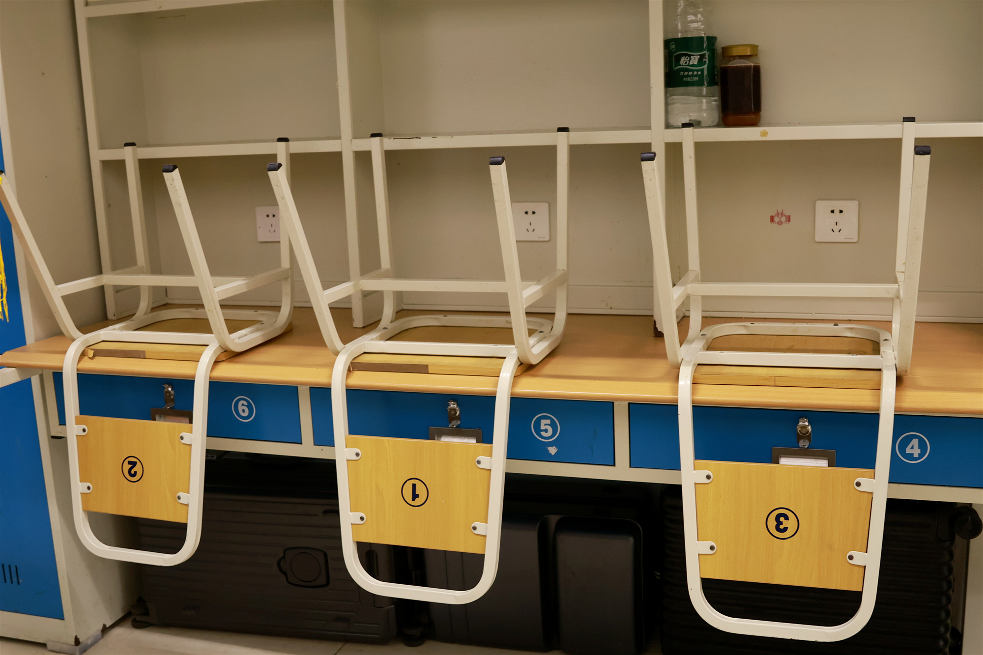 1758185916279964.jpg IMG_9830.JPG